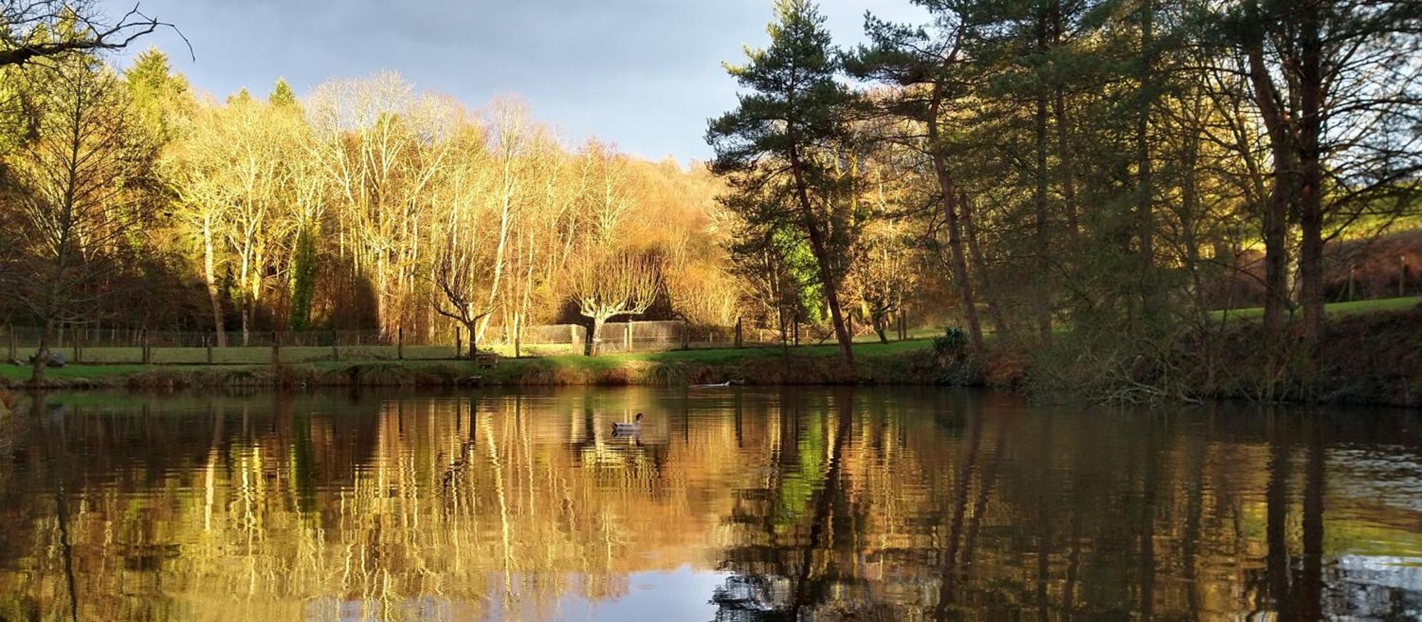 Le Petit Lac Bourganeuf Exteriör bild